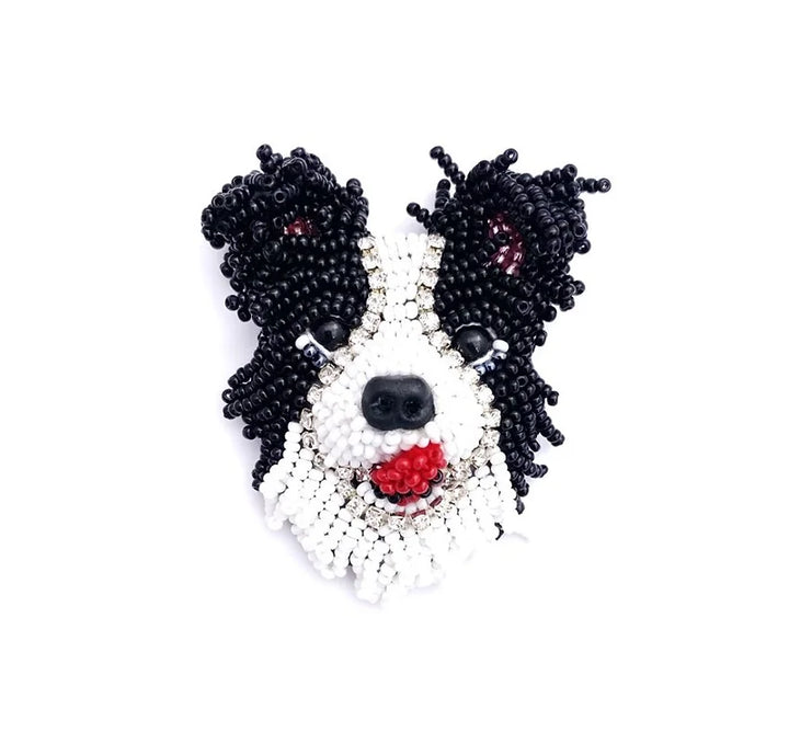 BORDER COLLIE
