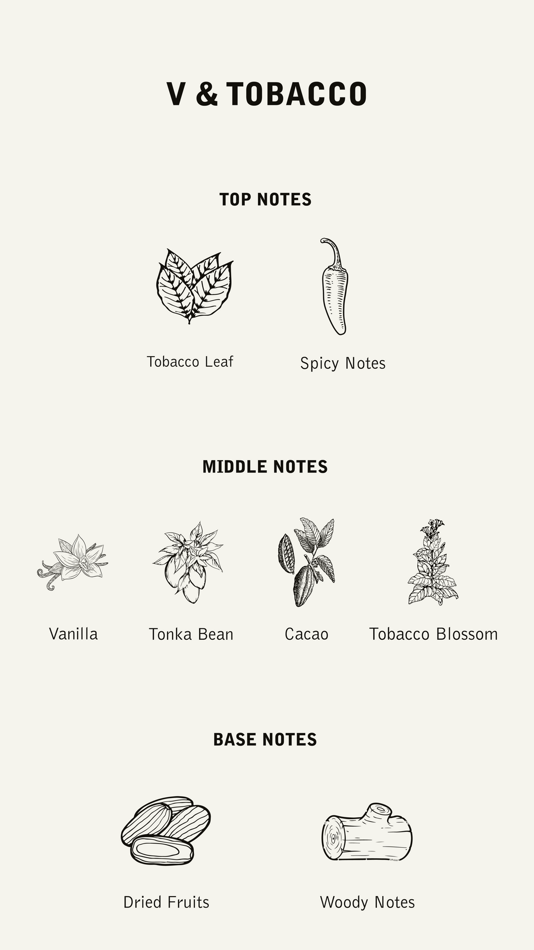 PERFUME V&TOBACCO