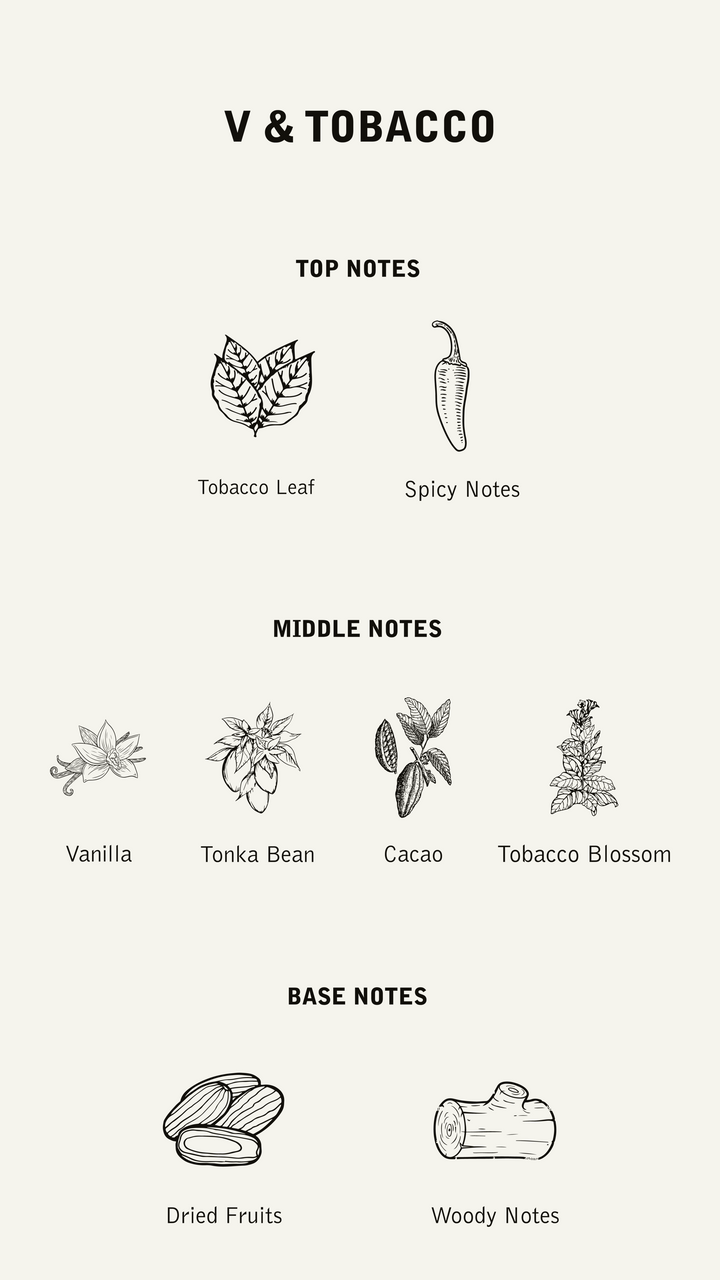 PERFUME V&TOBACCO