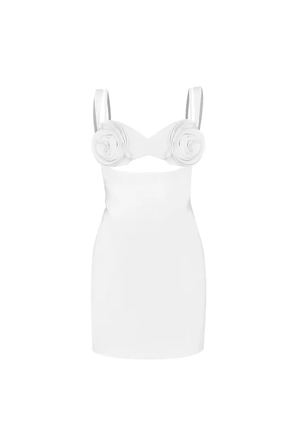 BUBI ROSES MINI DRESS