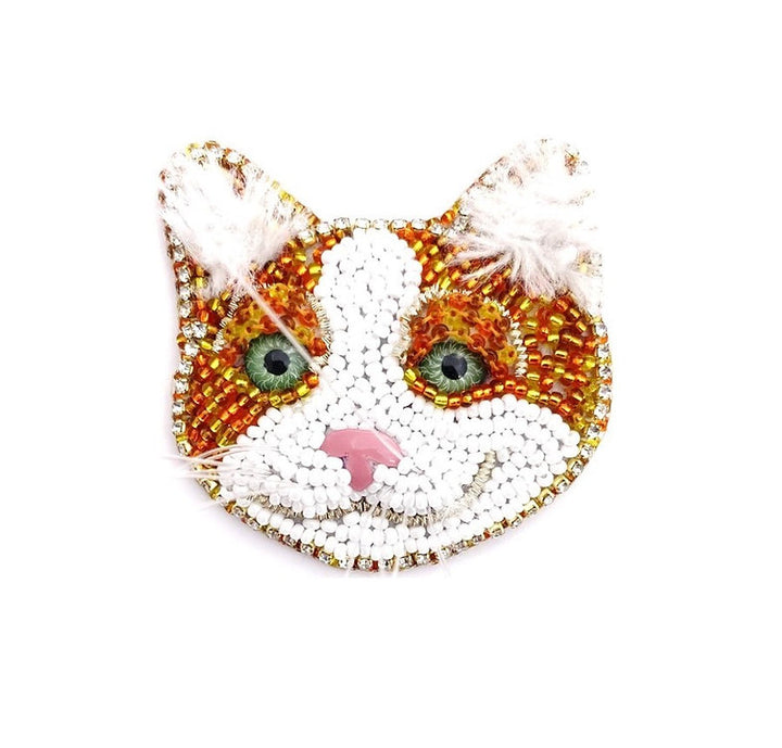 GATO GRIOLLO NARANJA