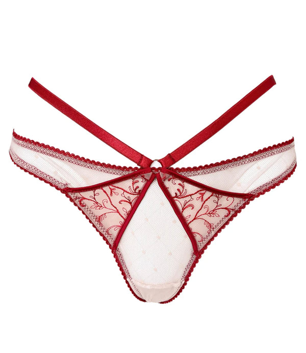 Panty Carmine Vinotinto
